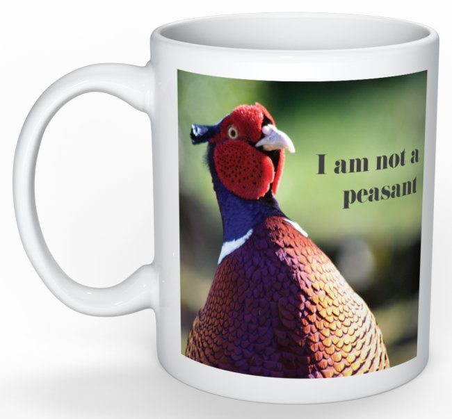 Wisemanly mug I am not